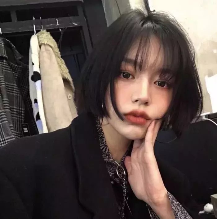 藏身之处2023